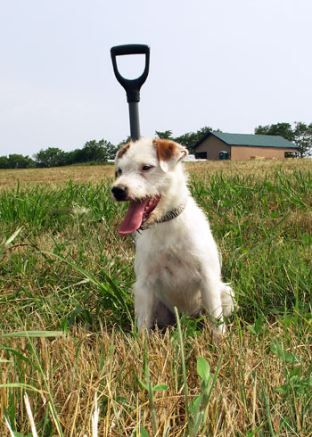 Tail Waggin’ Events – Sep 16, 2018